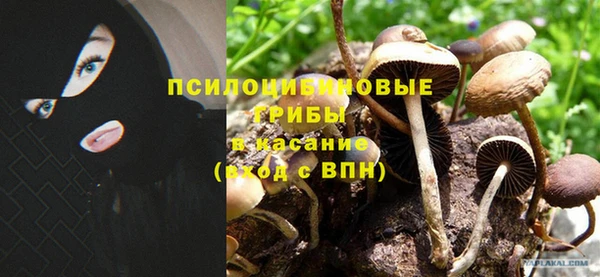 гидропоника Инсар