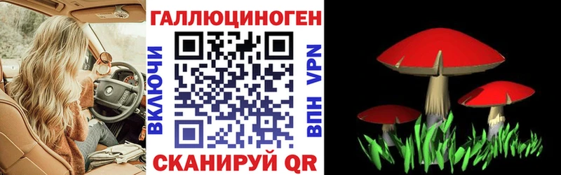 Купить  Краснозаводск  Галлюциногенные грибы GOLDEN TEACHER 